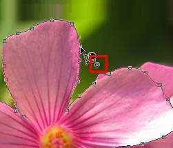 ʹAdobe Photoshop CS6gifӮ