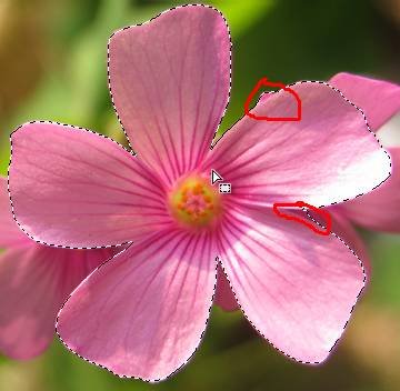 ʹAdobe Photoshop CS6gifӮ