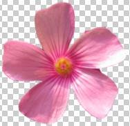 ʹAdobe Photoshop CS6gifӮ