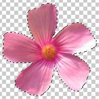 ʹAdobe Photoshop CS6gifӮ