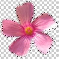 ʹAdobe Photoshop CS6gifӮ