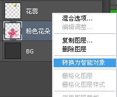 ʹAdobe Photoshop CS6gifӮ