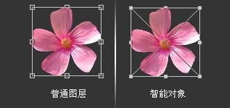 ʹAdobe Photoshop CS6gifӮ