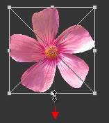 ʹAdobe Photoshop CS6gifӮ