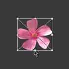 ʹAdobe Photoshop CS6gifӮ