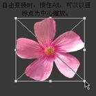 ʹAdobe Photoshop CS6gifӮ