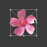 ʹAdobe Photoshop CS6gifӮ