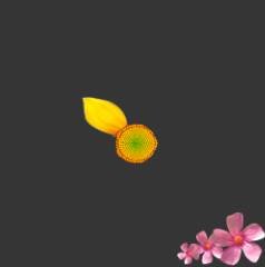 ʹAdobe Photoshop CS6gifӮ