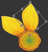 ʹAdobe Photoshop CS6gifӮ