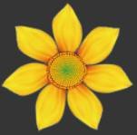 ʹAdobe Photoshop CS6gifӮ