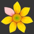 ʹAdobe Photoshop CS6gifӮ