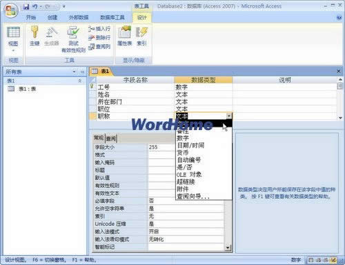 Access2007O(sh)Ӌ(j)ҕD