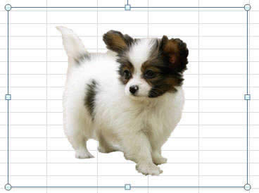 Office2010мɏĈDƬh