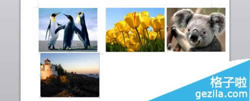 office2010ӰzƬЧô