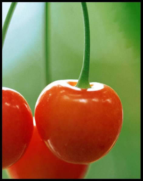 WPSּɣһ𮋙 Ľ̳