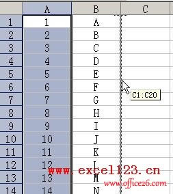 ExeclѸٻQăД(sh)(j)