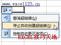 ExcelچԪݔW(wng)j(lu)ַr(sh)Ԅ(dng)D(zhun)Q鳬朽_վ
