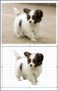 Excel2010½湦ܺ_վ