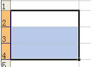 excel(ni)ݿI