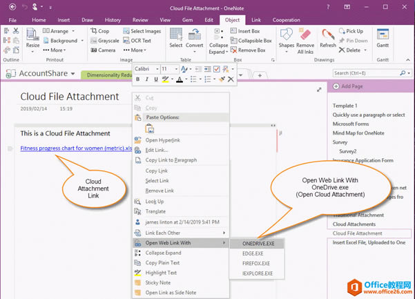  OneNote 2016, 2013, 2010 _Ƹ 