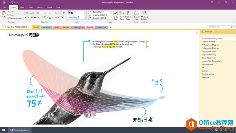OneNote c OneNote 2016 ɶ^e