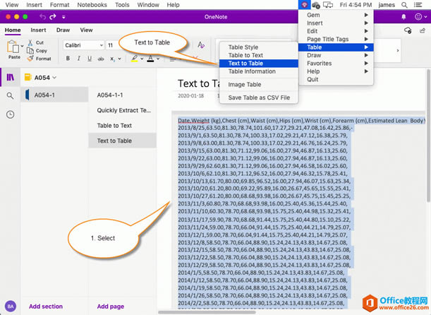  OneNote DQһʽı