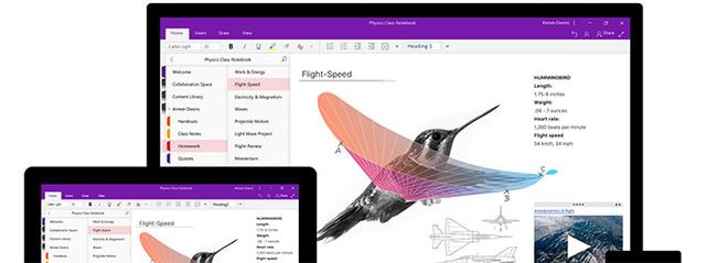 OneNotew Office 2019һĨɫ