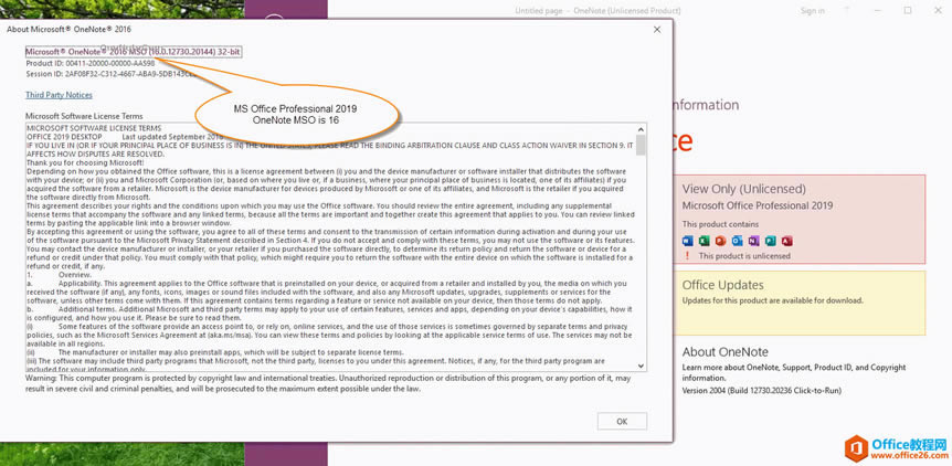 Microsoft Office Professional 2019OneNoteMSO汾̖16.0