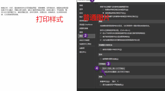 OneNote PDFļĴӡʽcDƬɶ^e