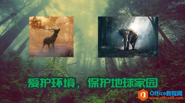 ˣpع@ӵɲPPTҲ܌F