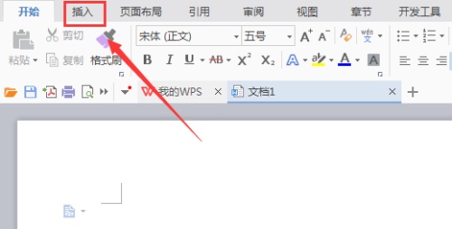 wpsLΈD_վ