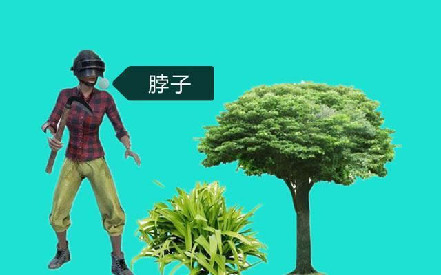 ̼_ ̼w܂̶ȱ^