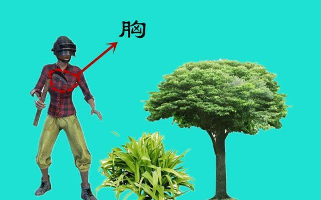 ̼_ ̼w܂̶ȱ^